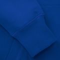 Pánska mikina Pitbull West Coast Hooded Small Logo royal blue 4