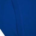 Pánska mikina Pitbull West Coast Hooded Small Logo royal blue 5