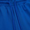 Pánske nohavice Pitbull West Coast Durango Jogging 210 royal blue 3