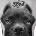 Dámske tričko Pitbull West Coast Ir white 3
