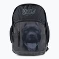 Pánsky batoh Pitbull West Coast Pitbull Ir black/grey