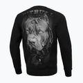 Pánska mikina Pitbull West Coast Born In 1989 Crewneck black 3