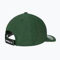 Pitbull Snapback čiapka ,,Logo" Hybrid green 2