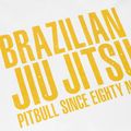 Pánske tričko Pitbull West Coast BJJ Champions white 3