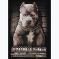 Pitbull West Coast pánske čierne tričko Mugshot 2 8