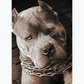 Pitbull West Coast pánske čierne tričko Mugshot 2 9