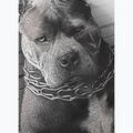 Pitbull West Coast pánske biele tričko Mugshot 2 9