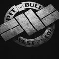 Pánska mikina Pitbull West Coast Steel Logo Crewneck black 6