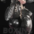 Pánska mikina Pitbull West Coast Boxing FD s kapucňou čierna 8