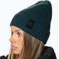 Zimná čiapka Pitbull Beanie Velcro Logo green 4