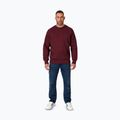 Pánska mikina Pitbull Small Logo Crewneck burgundy 2