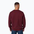 Pánska mikina Pitbull Small Logo Crewneck burgundy 3