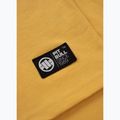 Pánske tričko Pitbull Small Logo black 6