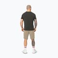 Pánske šortky Pitbull Dogwood Sport dark sand 3