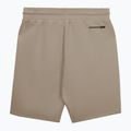 Pánske šortky Pitbull Dogwood Sport dark sand 2