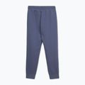 Pánske tepláky Pitbull Sampson Track Pants navy jeans 4