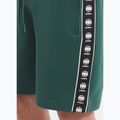 Pánske šortky Pitbull Track Shorts Powers bottle green 3