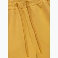 Pánske šortky Pitbull Track Shorts Powers pale yellow 3