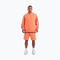 Pánska mikina Pitbull Tape Nugget Crewneck Sweatshirt bright salmon 2
