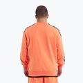 Pánska mikina Pitbull Tape Nugget Crewneck Sweatshirt bright salmon 3