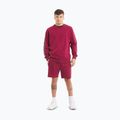 Pánska mikina Pitbull Tape Nugget Crewneck Sweatshirt burgundy 2