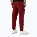 Pánske tepláky Pitbull Tape Nugget Jogging burgundy 2