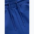 Pánske tepláky Pitbull Tape Nugget Jogging electric blue 6