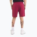Pánske šortky Pitbull Tape Nugget burgundy 3