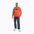 Pánska mikina Pitbull Surfing Dog Crewneck Sweatshirt bright salmon 2