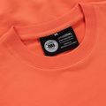 Pánska mikina Pitbull Dog Sd Crewneck Sweatshirt bright salmon 3