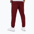 Pánske nohavice Pitbull Nugget Jogging burgundy 2