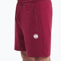 Pánske šortky Pitbull Nugget burgundy 4