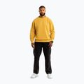Pánska mikina Pitbull Lancaster 2 Crewneck Sweatshirt washed yellow 2
