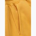 Pánske tepláky Pitbull Lancaster 2 washed yellow 10