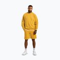 Pánske šortky Pitbull Lancaster 2 washed yellow 2
