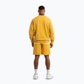 Pánske šortky Pitbull Lancaster 2 washed yellow 4