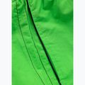 Pánske plavecké šortky Pitbull Crownhill fluo green 6