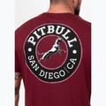 Pánske tričko Pitbull San Diego CA black burgundy 3