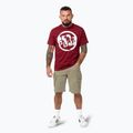 Pánske tričko Pitbull Logo Palms burgundy 2