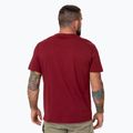 Pánske tričko Pitbull Logo Palms burgundy 3