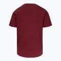 Pánske tričko Pitbull Logo Palms burgundy 5