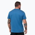Pánske tričko Pitbull Logo Palms shade blue 3
