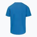 Pánske tričko Pitbull Logo Palms shade blue 5