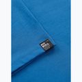 Pánske tričko Pitbull Logo Palms shade blue 8