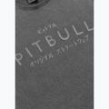 Pánske tričko Pitbull Mt. Fuji washed grey 4