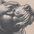 Pánske tričko Pitbull Pacyfic ultra light sand 9