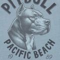 Pánske tričko Pitbull Pacyfic blue 5