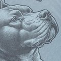 Pánske tričko Pitbull Pacyfic blue 6