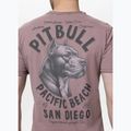 Pánske tričko Pitbull Pacyfic dusty burgundy 3