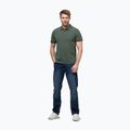 Pánske polo tričko Pitbull Washed Polo sage green 2